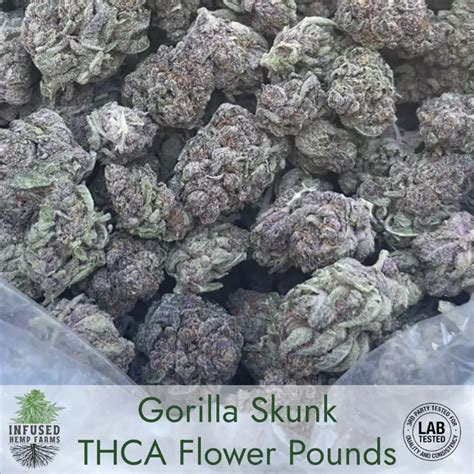 thca.yodieland|THCA Flower Wholesale Pounds & Retail Ready